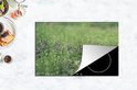 Product afbeelding  13