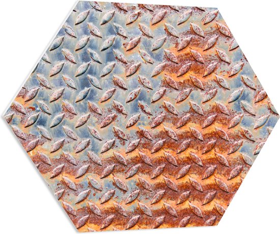 PVC Schuimplaat Hexagon - Print van Metalen Plaat met Relief - 70x60.9 cm Foto op Hexagon (Met Ophangsysteem)