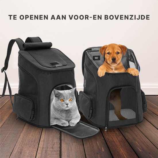 Chat gris dans un sac à dos pour chien ouvert et un chiot brun dans un autre sac à dos ouvert.