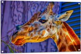Tuinposter – Zijaanzicht van Giraffekop - 105x70 cm Foto op Tuinposter (wanddecoratie voor buiten en binnen)