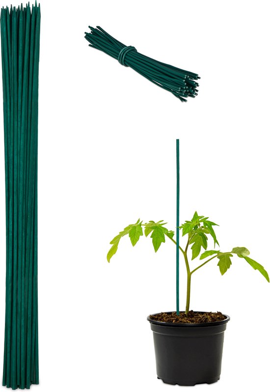 Een bos donkergroene bamboestokken van 60 cm, een gebundeld bosje en een tomatenplant met een stok.