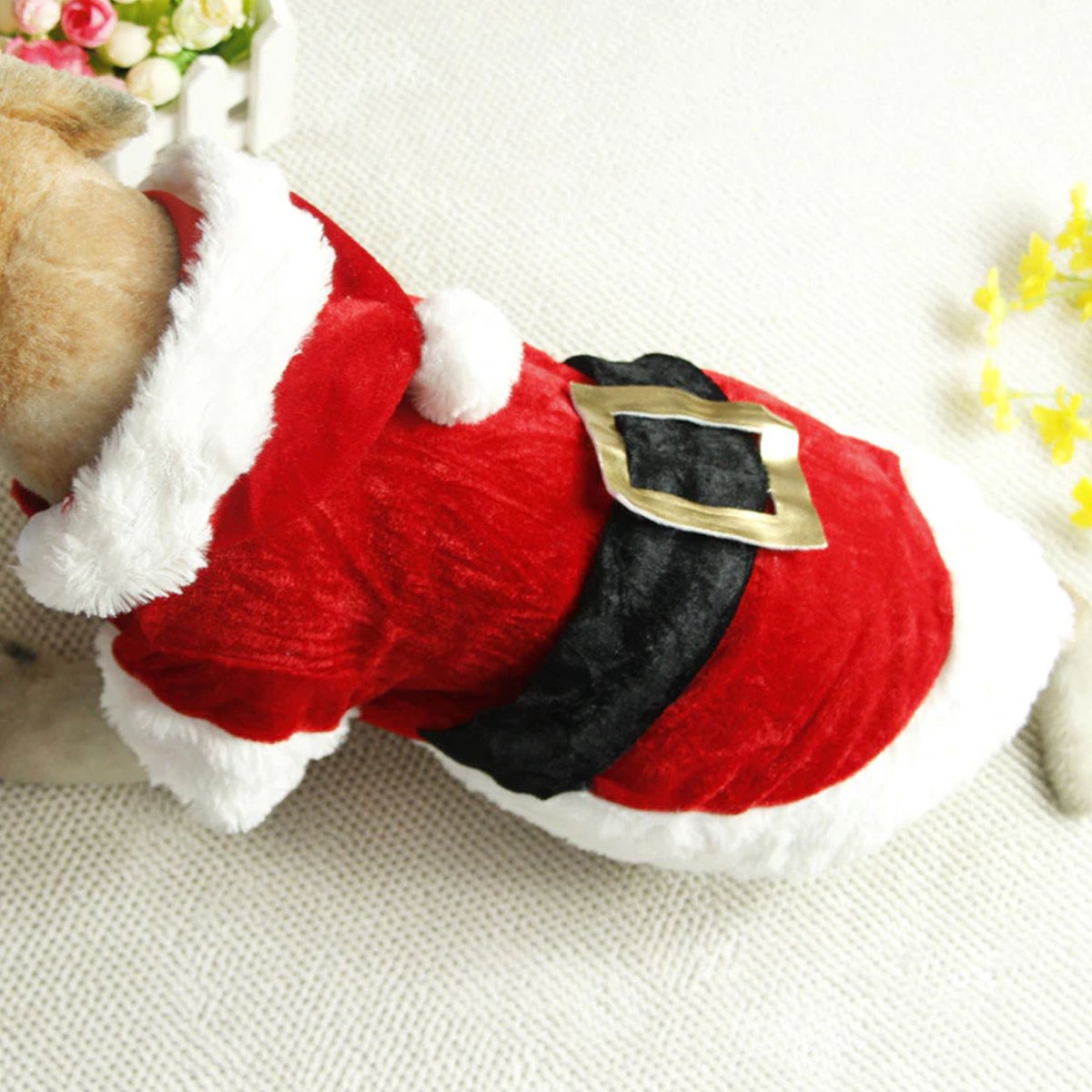 Hondenkleding kerst Small size Grappige honden trui Pakje