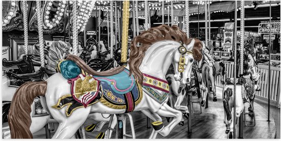 Poster Glanzend – Sierlijk Paard in Carrousel - 100x50 cm Foto op Posterpapier met Glanzende Afwerking