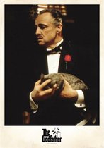 Affiche Le Godfather -L- Vito Corleone Photo Multicolore