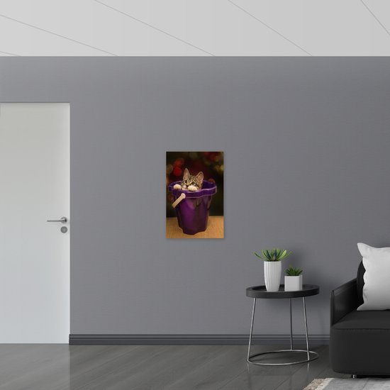 WallClassics - Poster (Matte) - Chaton dans un seau violet - 50x75 cm Photo sur Papier Poster avec un aspect Mat