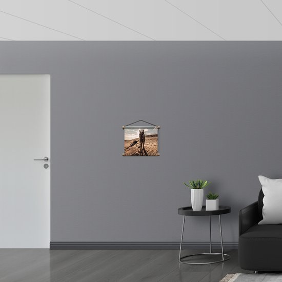WallClassics - Affiche Textile - Bouvier Australien - 40x30 cm Photo sur Textile
