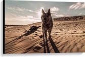 WallClassics - Canvas  - Austrailian Cattle Dog - 90x60 cm Foto op Canvas Schilderij (Wanddecoratie op Canvas)