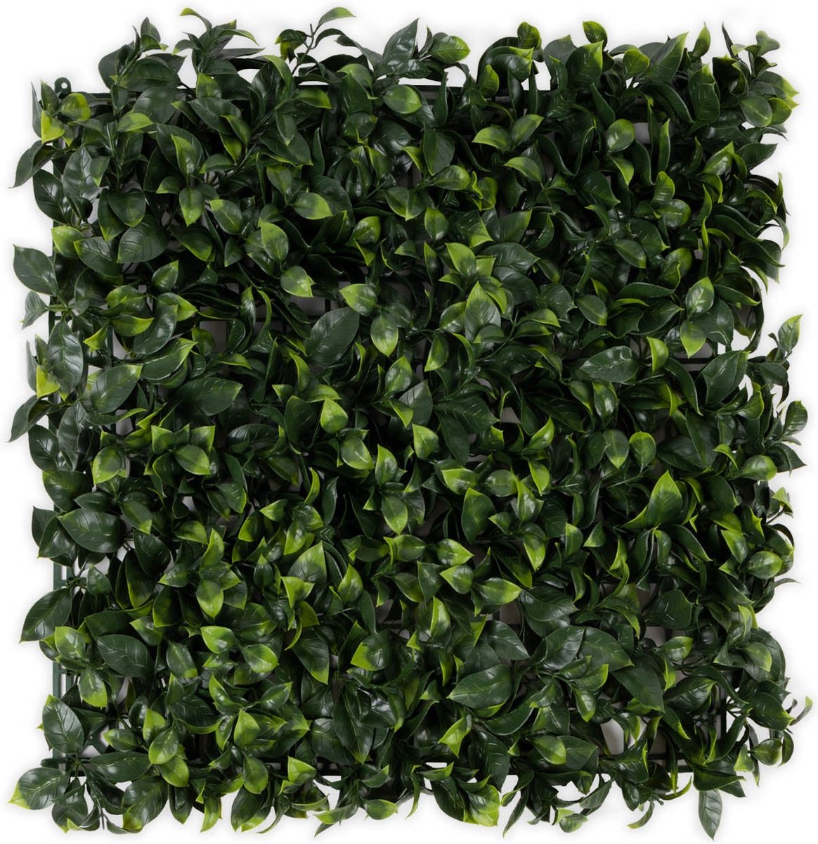 FLOORDIREKT Plantenwand - Gardenia - Kunstplant - Kunsthaag - Decoratie - 50 x 50 cm