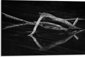 WallClassics - Dibond - Smalle Takken (zwart/wit) - 75x50 cm Foto op Aluminium (Wanddecoratie van metaal)