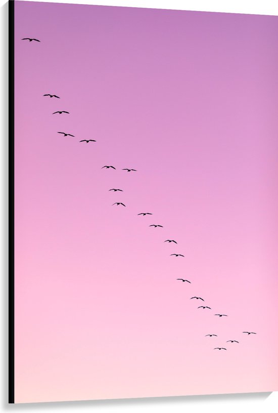WallClassics - Canvas  - Grote Groep Vogels door roze Lucht - 100x150 cm Foto op Canvas Schilderij (Wanddecoratie op Canvas)