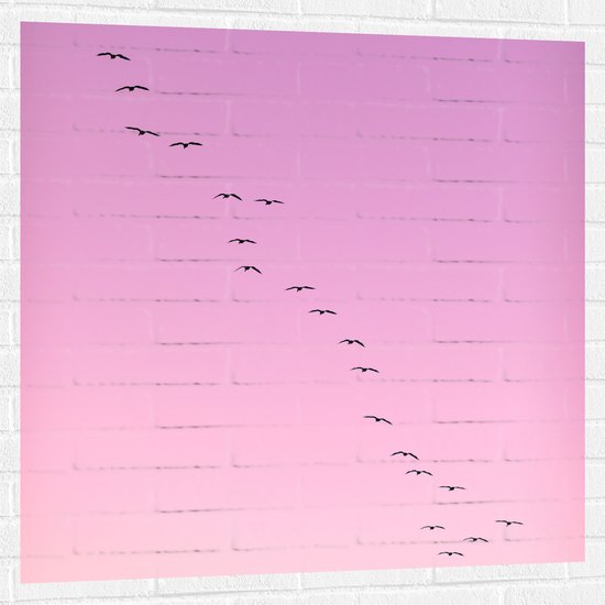 WallClassics - Muursticker - Grote Groep Vogels door roze Lucht - 100x100 cm Foto op Muursticker