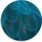 WallClassics - Dibond Muurcirkel - Blauwe Veren - 50x50 cm Foto op Aluminium Muurcirkel (met ophangsysteem)