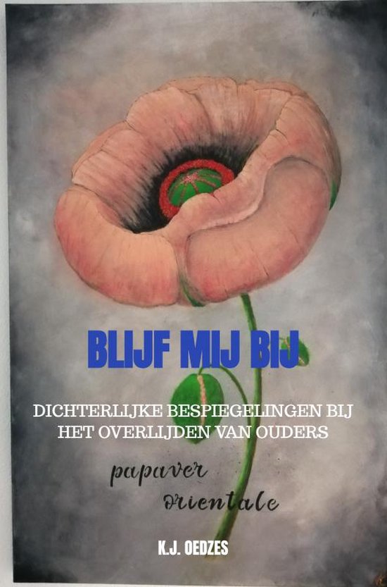 Blijf mij bij - cover