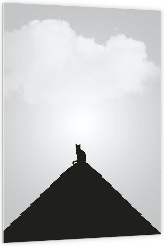 WallClassics - PVC Schuimplaat - Kat op Piramide - 100x150 cm Foto op PVC Schuimplaat (Met Ophangsysteem)