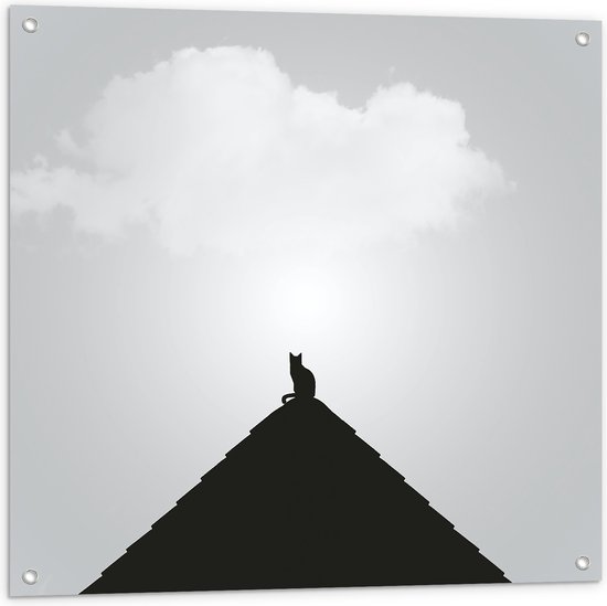 WallClassics - Tuinposter – Kat op Piramide - 80x80 cm Foto op Tuinposter  (wanddecoratie voor buiten en binnen)