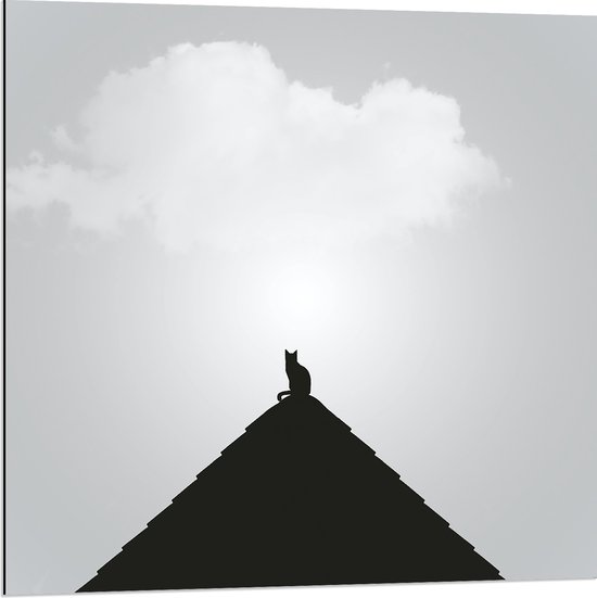 WallClassics - Dibond - Kat op Piramide - 80x80 cm Foto op Aluminium (Met Ophangsysteem)