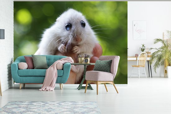 Papier peint - Papier peint Papier peint photo - Hamster aux grands yeux se tenant bien - Largeur 385 cm x hauteur 280 cm