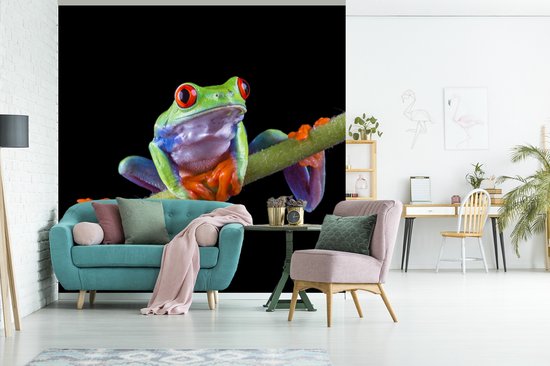 Papier peint photo vinyle - Portrait d'une grenouille sur fond noir largeur 240 cm x hauteur 240 cm - Tirage photo sur papier peint (disponible en 7 tailles)