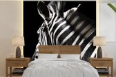 Behang - Fotobehang Zebra - Dier - Wit - Breedte 300 cm x hoogte 300 cm