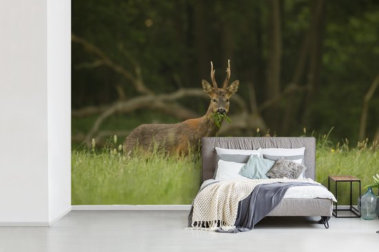 Papier peint photo peint photo vinyle - Cerf broutant largeur 420 cm x hauteur 280 cm - Tirage photo sur papier peint (disponible en 7 tailles)