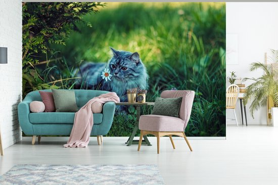 Papier peint Papier peint photo en vinyle - Chat gris largeur 330 cm x hauteur 220 cm - Tirage photo sur papier peint (disponible en 7 tailles)