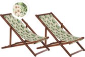 Beliani ANZIO - Lot de 2 chaises de plage - Vert - Plastique
