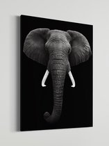 Olifant | Schobbejak Animal Collection | Canvas | Wanddecoratie | Kunst | Schilderij | 100x150 CM