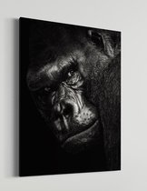 Gorilla | Schobbejak Animal Collection | Canvas | Wanddecoratie | Kunst | Schilderij | 50x70 CM