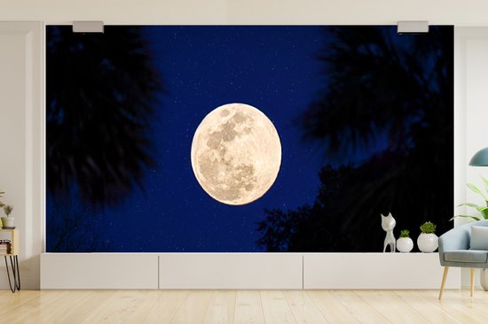 Papier peint photo vinyle - Une pleine lune dans un ciel nocturne bleu avec des étoiles largeur 465 cm x hauteur 260 cm - Tirage photo sur papier peint (disponible en 7 tailles)