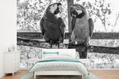 Behang - Fotobehang Twee ara papegaaien op een tak in zwart-wit - Breedte 390 cm x hoogte 260 cm