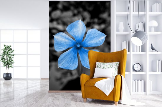 Papier peint - Papiers Papier peint photo Fleurs - Blauw - Zwart - Wit - Largeur 225 cm x hauteur 350 cm
