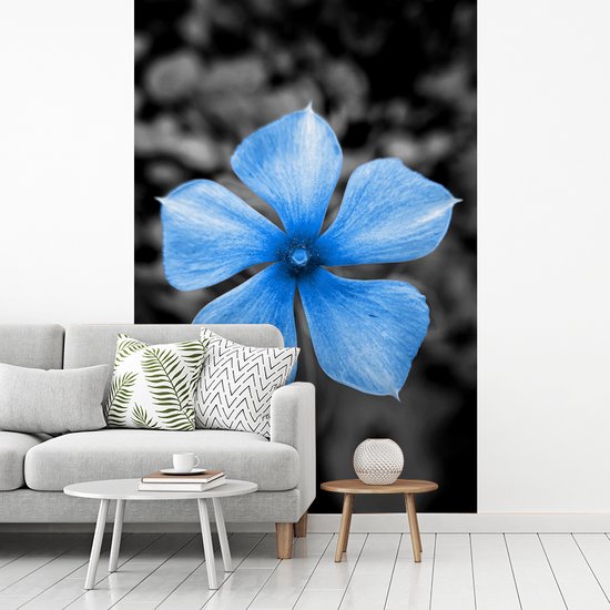 Papier peint - Papiers Papier peint photo Fleurs - Blauw - Zwart - Wit - Largeur 225 cm x hauteur 350 cm