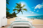 Papier peint - Papier peint photo Plage - Mer - Soleil - Palmier - Largeur 525 cm x hauteur 350 cm
