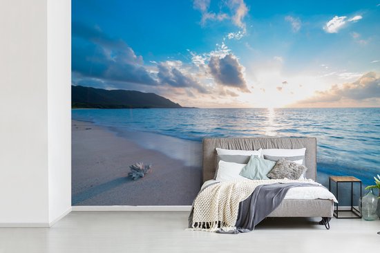 Papier peint - Papier peint photo Plage - Mer - Coquillage - Largeur 600 cm x hauteur 400 cm