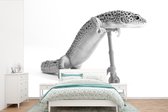 Behang - Fotobehang Gekko op een step - zwart wit - Breedte 450 cm x hoogte 300 cm