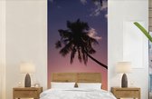 Behang - Fotobehang Silhouet van palmbomen bij zonsondergang - Breedte 120 cm x hoogte 240 cm