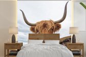 Behang - Fotobehang Schotse hooglander - Koe - Landschap - Breedte 300 cm x hoogte 300 cm