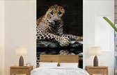 Behang - Fotobehang Luipaard - Water - Bos - Breedte 120 cm x hoogte 240 cm