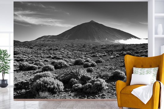 Papier peint photo Tenerife - Vue du volcan El Tei, Tenerife - Zwart- Wit largeur 305 cm x hauteur 220 cm - Impression photo sur papier peint vinyle (disponible en 7 formats) - chambre/séjour/bureau