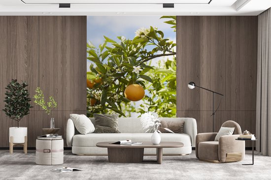 Behang - Fotobehang Sinaasappels in de boom met oranjebloesem - Breedte 225 cm x hoogte 350 cm