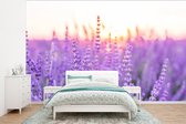 Behang - Fotobehang Lavendel - Close-up - Paars - Bloemen - Breedte 295 cm x hoogte 220 cm