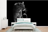 Behang - Fotobehang Wilde dieren - Luipaard - Natuur - Zwart - Wit - Breedte 375 cm x hoogte 280 cm