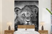 Behang - Fotobehang Wilde dieren - Leeuw - Natuur - Zwart - Wit - Breedte 145 cm x hoogte 220 cm