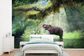 Behang kinderkamer - Fotobehang Jungle - Olifant - Water - Breedte 450 cm x hoogte 300 cm - Kinderbehang