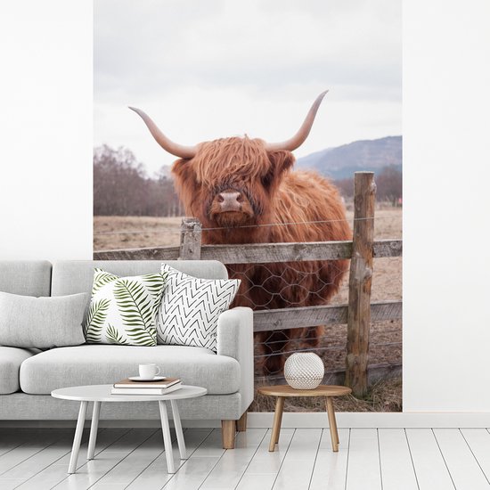 Behang - Fotobehang Schotse Hooglander - Gras - Hek - Breedte 160 cm x hoogte 220 cm