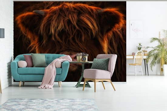 Behang - Fotobehang Schotse hooglander - Licht - Dier - Breedte 375 cm x hoogte 300 cm