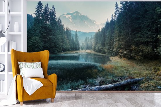 Behang - Fotobehang Bos - Gras - Bergen - Bomen - Natuur - Breedte 525 cm x hoogte 350 cm