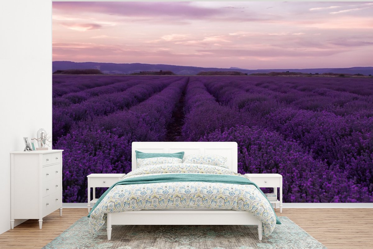 Behang - Fotobehang Lavendel - Paars - Bloemen - Natuur - Breedte 350 cm x hoogte 260 cm