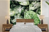 Behang - Fotobehang Bladeren - Planten - Natuur - Breedte 350 cm x hoogte 350 cm