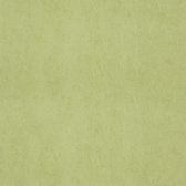 FC Chroma 58-Lime - papier peint intissé - 10m x 53cm